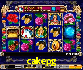 VIP Casino cakepg